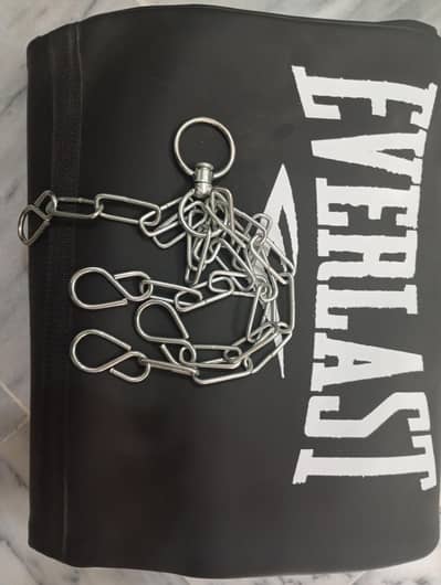 Everlast 4 ft new punching bag