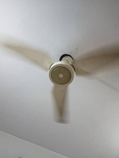 celling fan