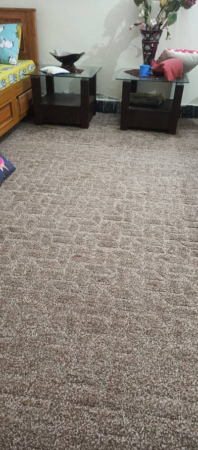 carpet good condition  16×20