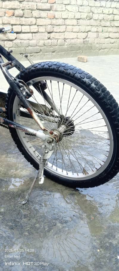 only wattsap 03139646385