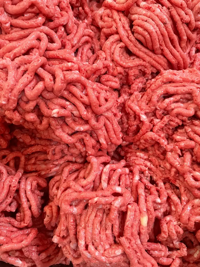 Dog Food (Frozen Chicken Mince) — photo 3