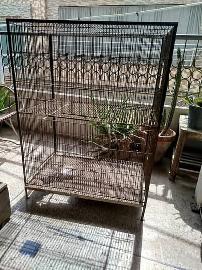 Iron Birds Cage