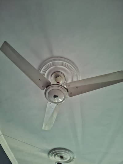4 Cieling Fans For sale