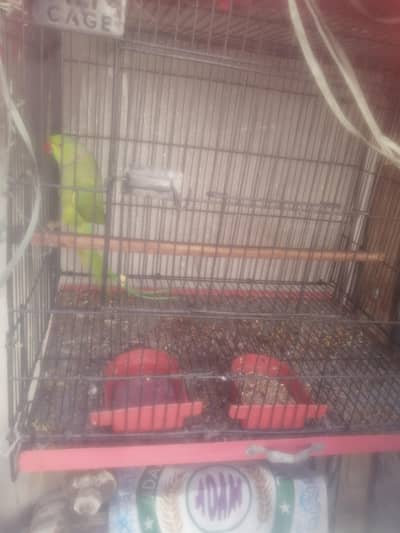 10 by 10 condition pta aproved tota