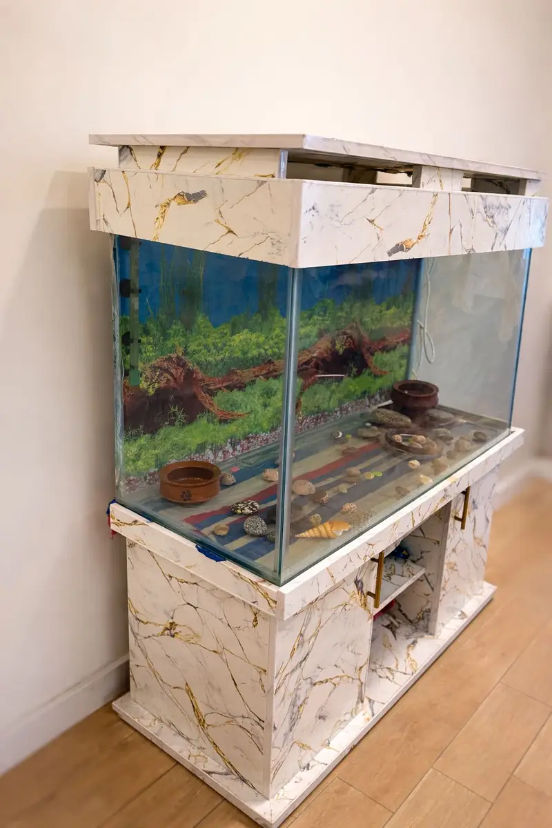 4 Feet 12mm glass Aquarium with Accessories — photo 2