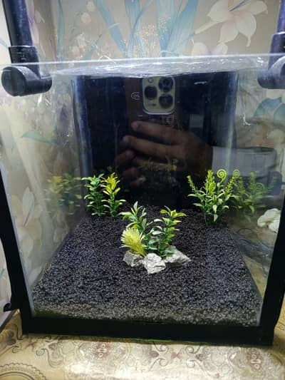 small cube aquarium