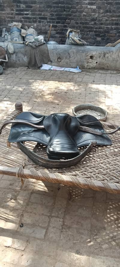 Horse Riding Saddle Set for Sale – Good Condition (Half Price)