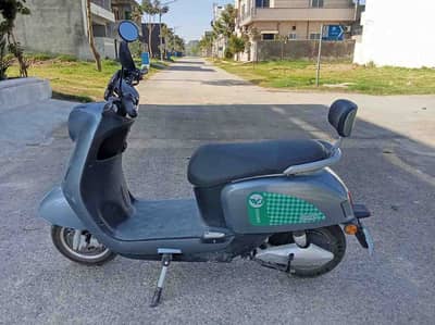 Brand YJFuture, 2025-26, 6months twister