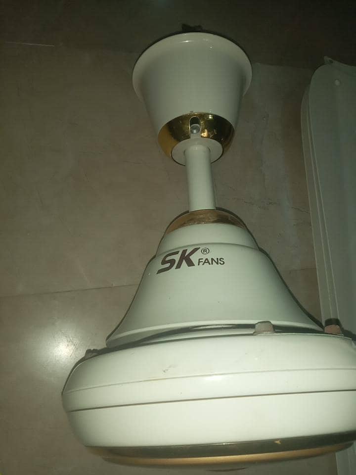 ceiling fan 3