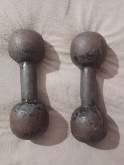iron dumbbell
