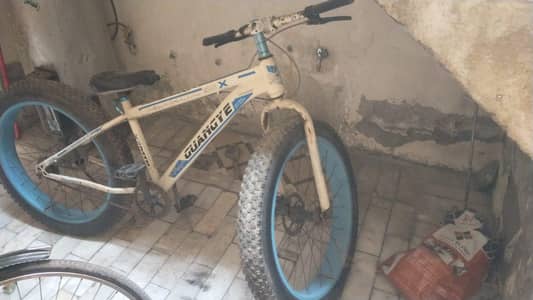 Mountain Bicycle – Fat Tires – Good Condition