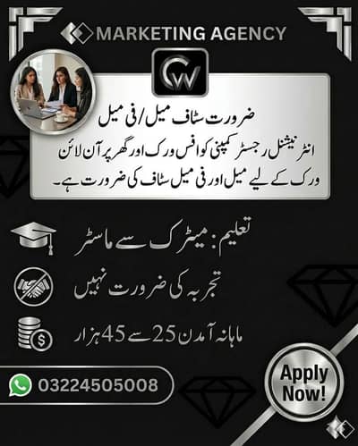 Online jobs male and female staff required