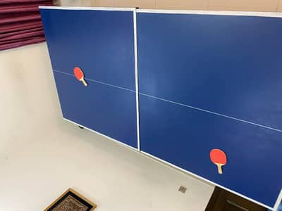 table tennis table