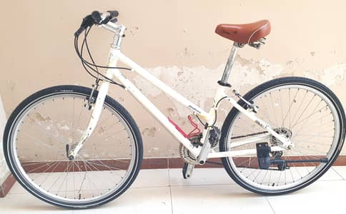 Riteway Pasture Hybrid Bike – 16 Speed – Shimano Tourney – Japanese