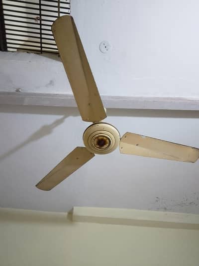 celling fan