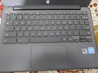 hp Chromebook