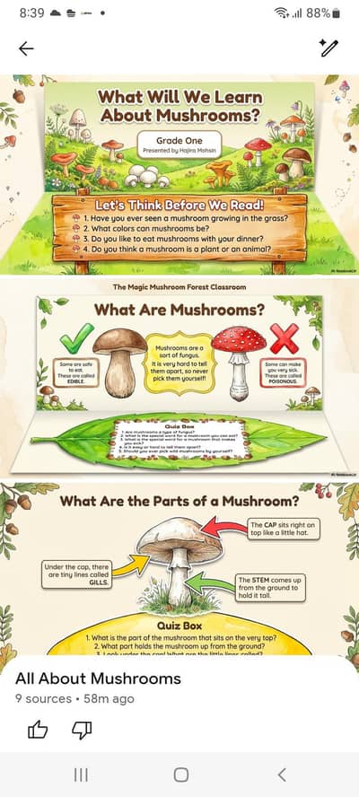 slides for online classes