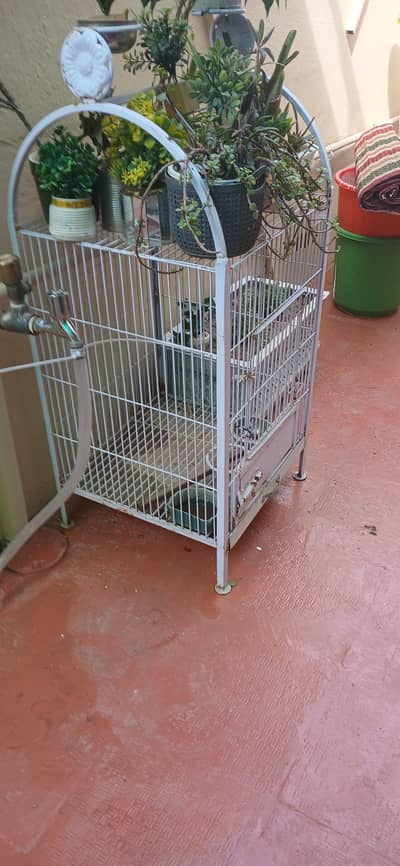 Strong Parrot Cage Bird Pinjra fancy