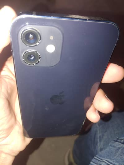 iphone 12 all ok only panel change