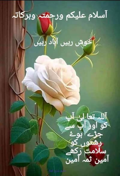 Rana Umair 