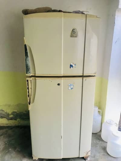 Pel company frig size medium