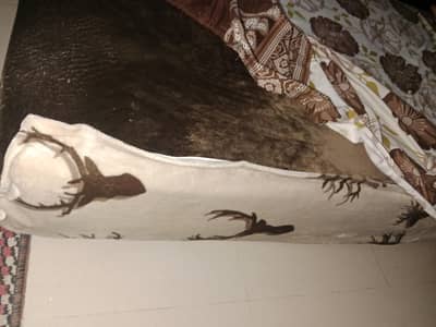 Single Spring mattress