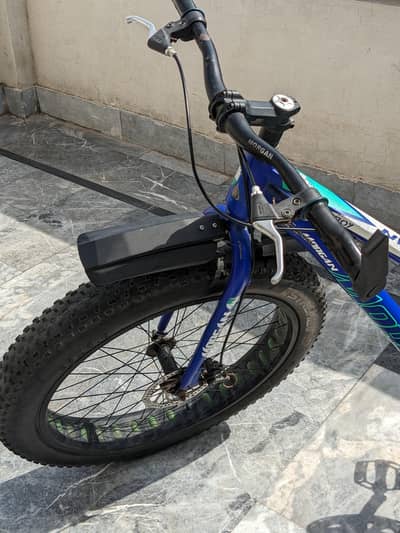 Morgan Fat Tyre Mountain Bicycle