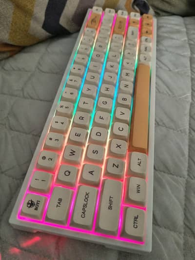 Wireless Tri-mode 68% Mechanical Gaming Keyboard Bluetooth Switches