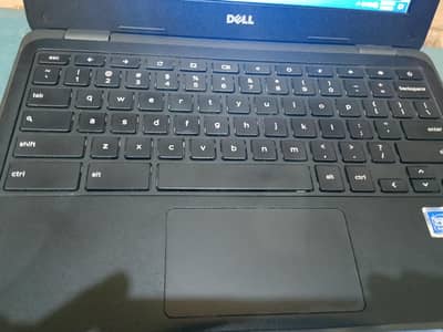 Dell Chromebook 11.3180 in Windows