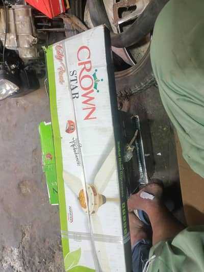 argant sail smiling fans