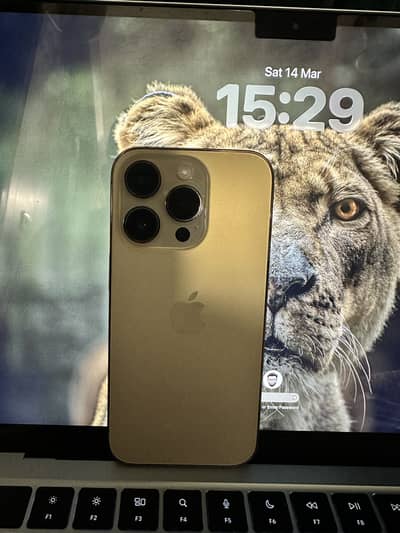 14 pro PTA Approved 10/10