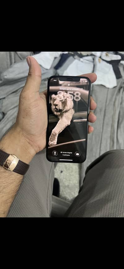 Iphone 12 pro pta approved
