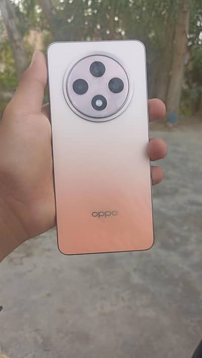 oppo reno 12F 8/256