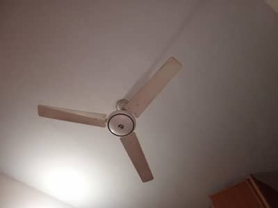 ceiling Fan for sale