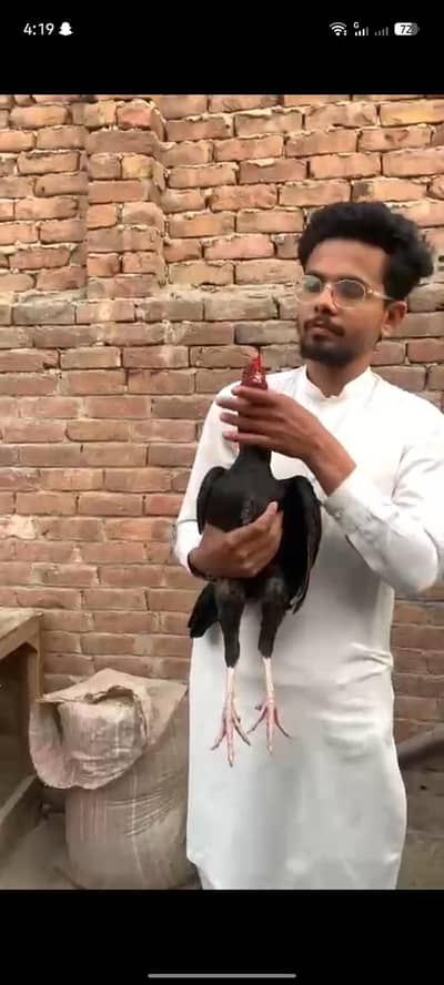 Adnan Aseel 03076748257 with tpni