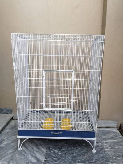 Birds Cage