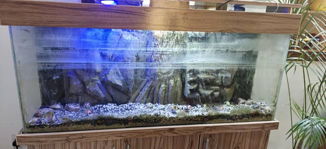 fish tank with 5 by 5 feet with large three cabinet
