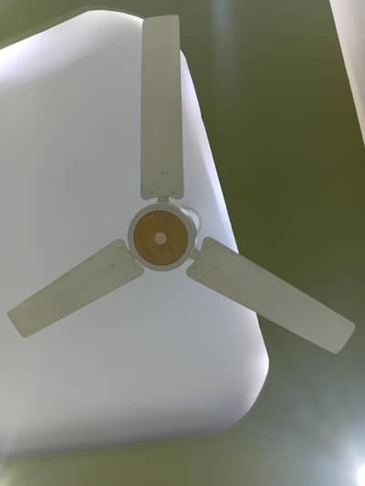ceilng Fan