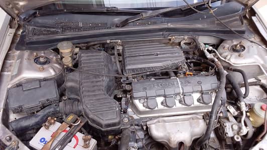 sanspashion 100/engine 100/ pick out class Bio moky par