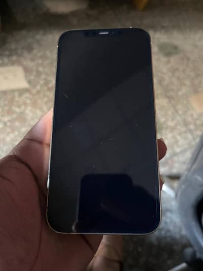 12 pro max pta approved