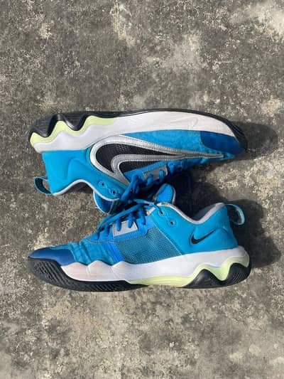 Nike Giannis Immortality 3 | Basketball Shoes