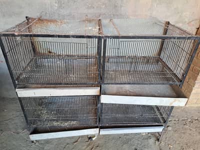 Iron Cage for birds