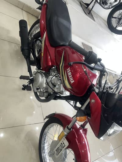 Mint condition contecte 03006691410