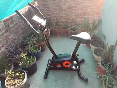Maximum Fitness Gym Bicycle – (10/10)