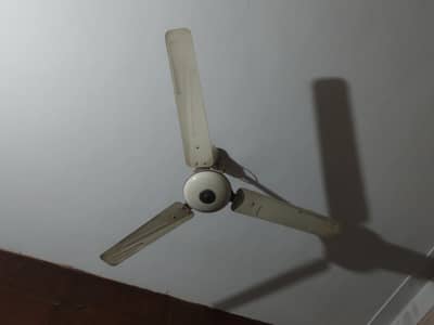 GFC celing fan