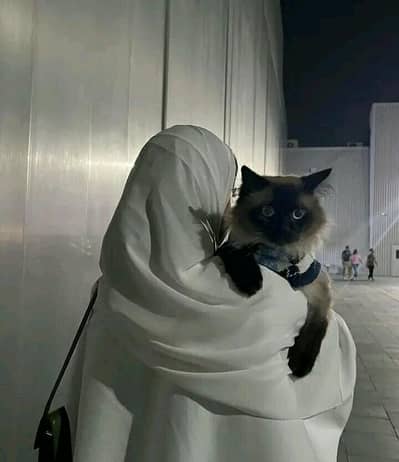 Female Required For 3 Diffrent Jobs