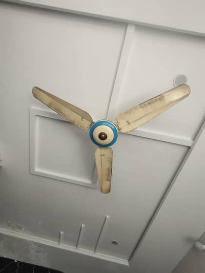 2 piece ceiling fan