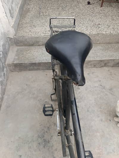 surab cycle for sale