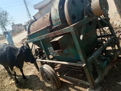 treasure machine 4.5,foot