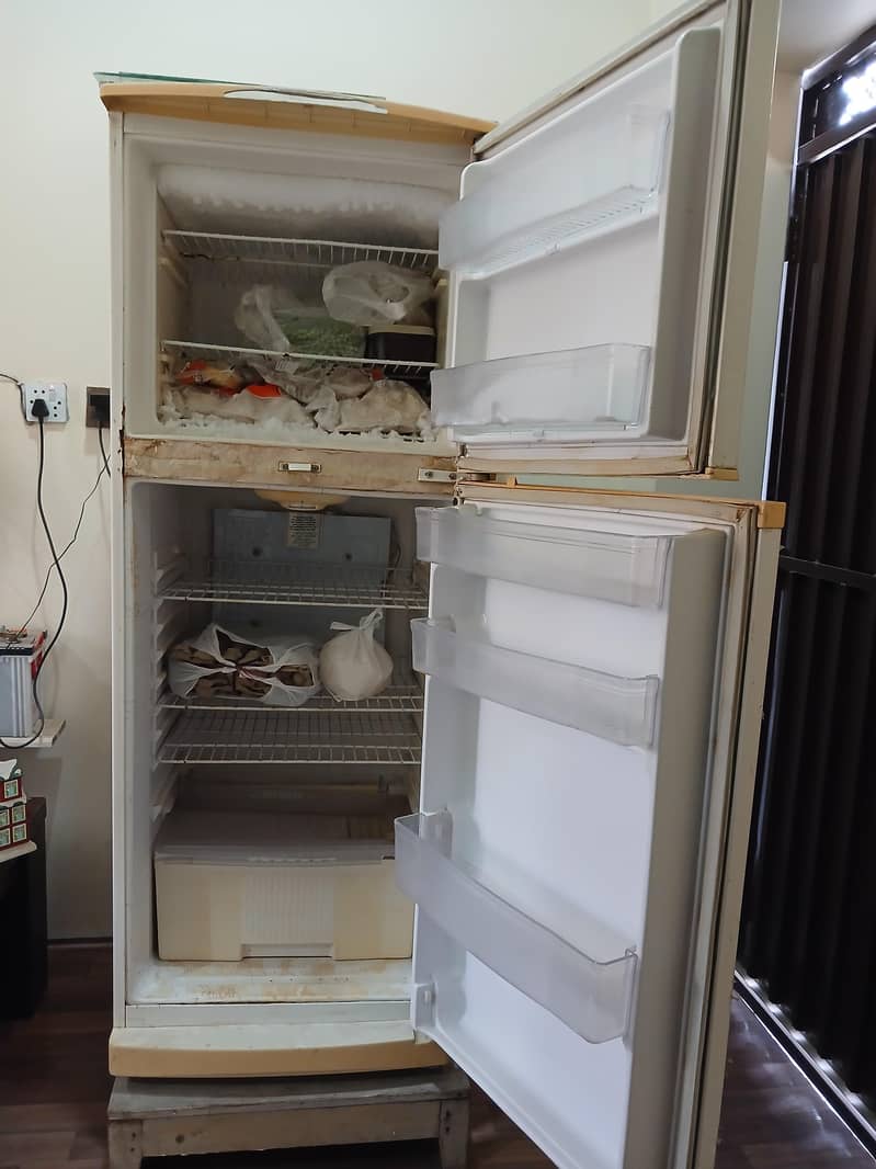 waves refrigerator 2